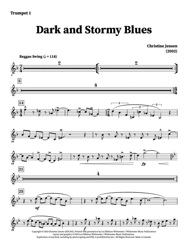 Dark and Stormy Blues - Christine Jensen