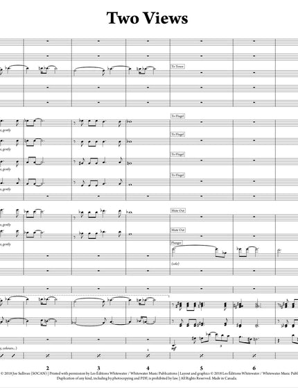 Two Views - Joe Sullivan