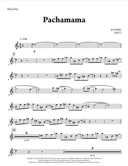 Pachamama - Joel Miller