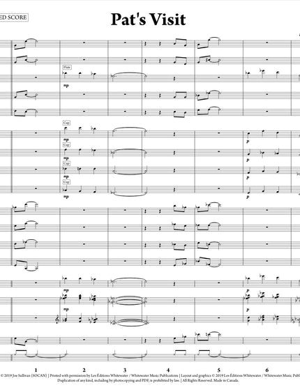 Pat's Visit - Joe Sullivan