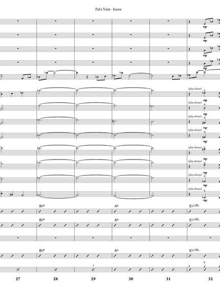 Pat's Visit - Joe Sullivan