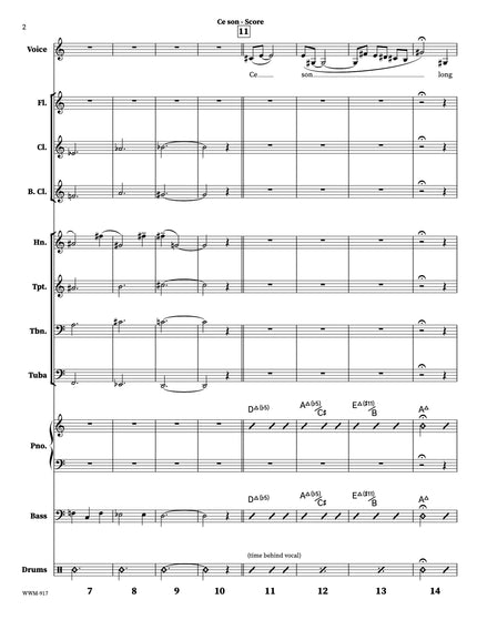 Ce son - Joe Sullivan