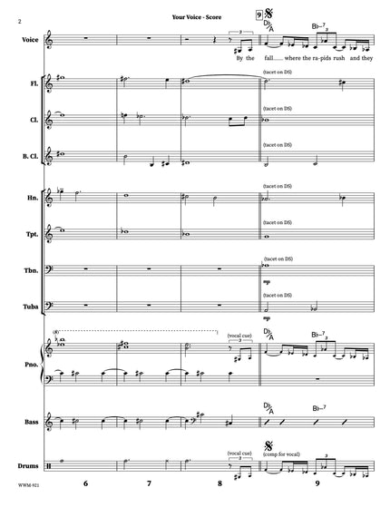 Your Voice - Joe Sullivan