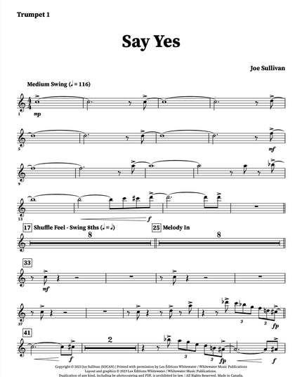Say Yes - Joe Sullivan