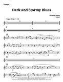 Dark and Stormy Blues - Christine Jensen