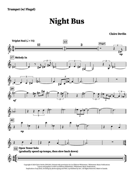 Night Bus - Claire Devlin