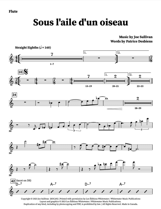 Sous l'aile d'un oiseau - Joe Sullivan