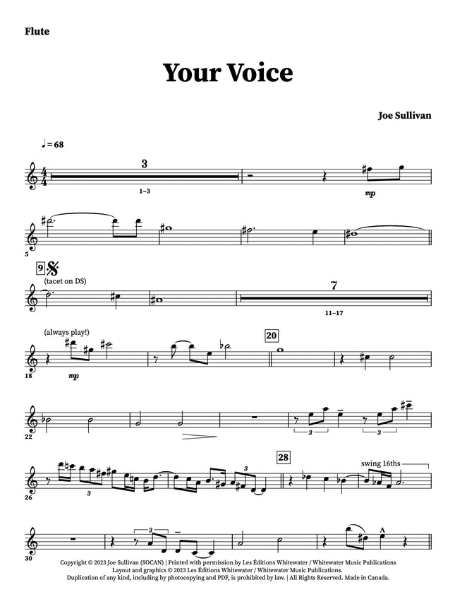 Your Voice - Joe Sullivan